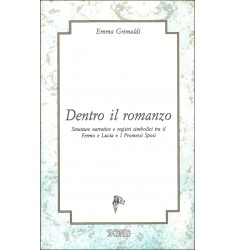 Dentro il romanzo