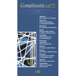 Complessità, 1-2 (2013)